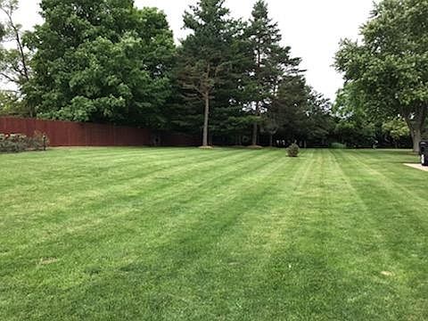 Yard has invisible fence!