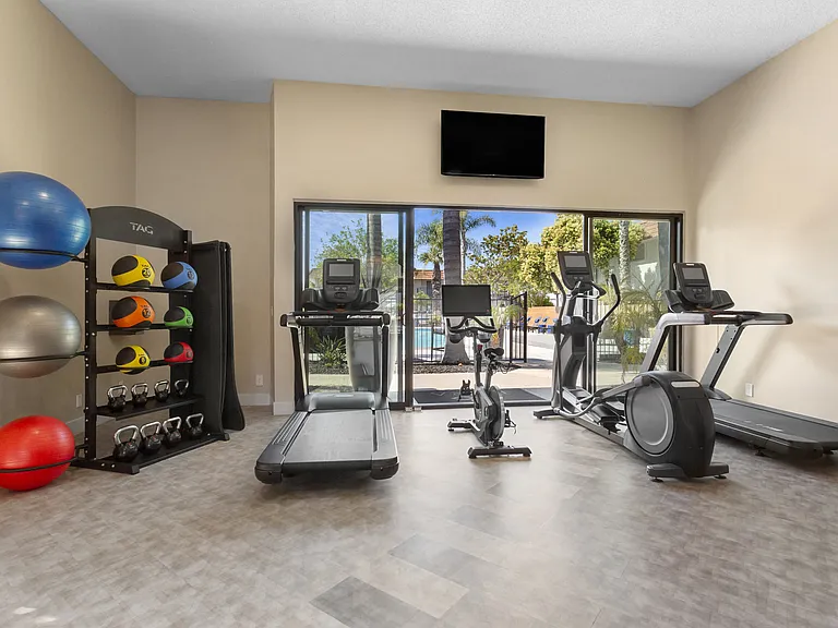 Terra Camarillo — Photo 3