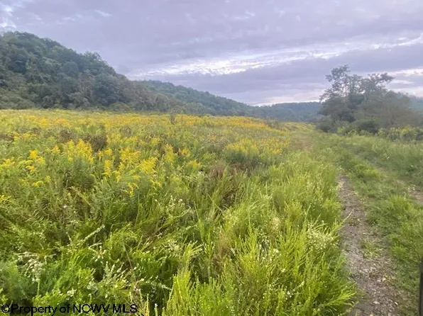 Glade Run Rd, Bridgeport, WV 26330