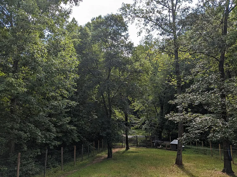 1211 Crystal View Ct — Photo 9
