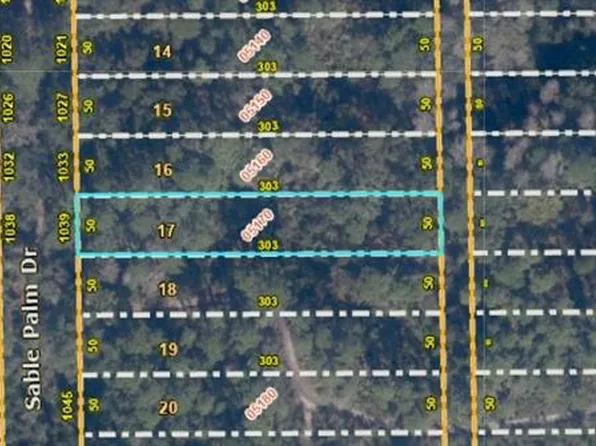 1039 Sable Palm Dr Lot 17, Christmas, FL 32709