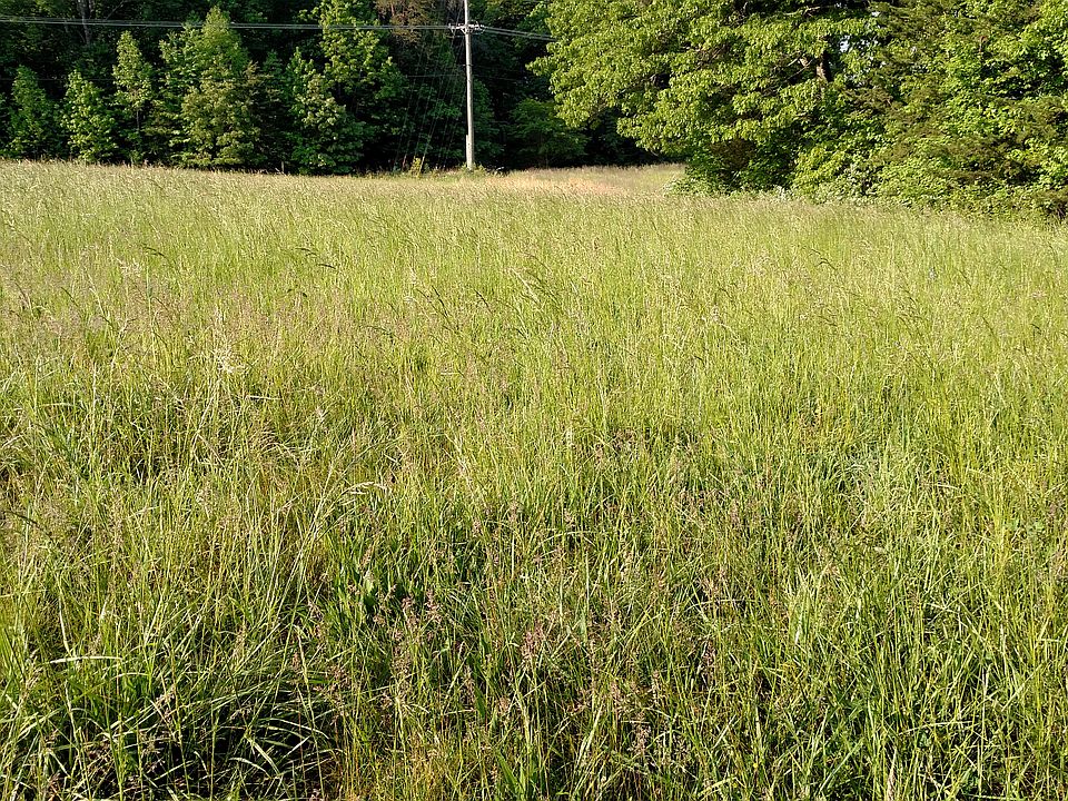 2nd image of 7715 Pine Meadow Ct