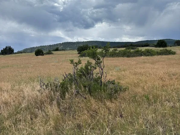 LOT 8 SW Lago Vistas Blvd, Colorado City, CO 81019