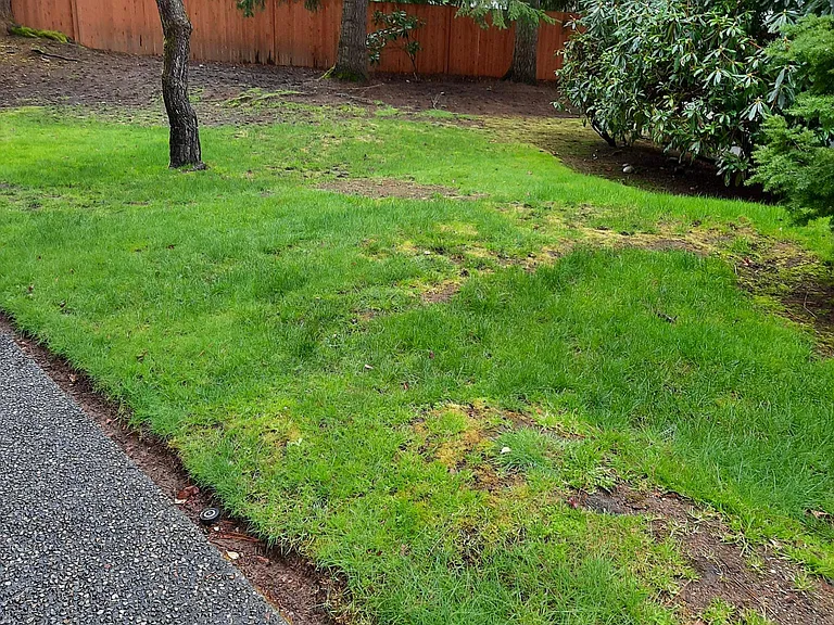 13130 102nd Ln NE #1 — Photo 46