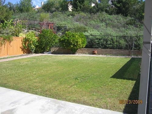 5th image of 11421 Summershade Ln
