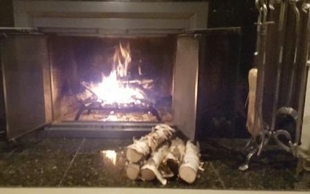 Wood Burning Fireplace