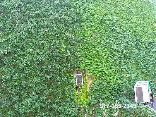 Rented by Metropolitan Realty | media 8