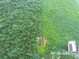 Rented by Metropolitan Realty