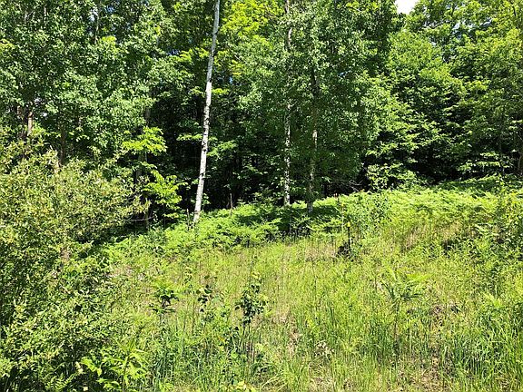 5th image of 13729 Baird Rd