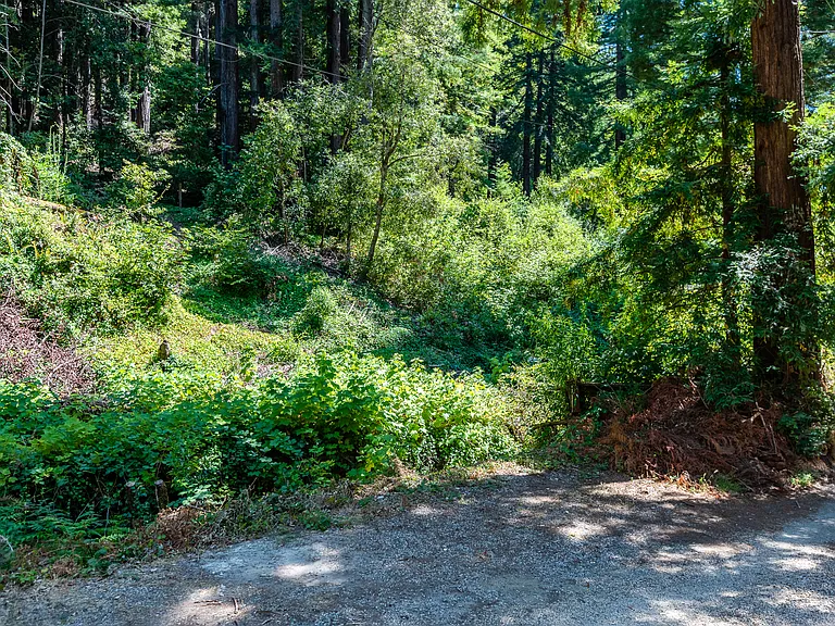 Lockhart Gulch Rd — Photo 11