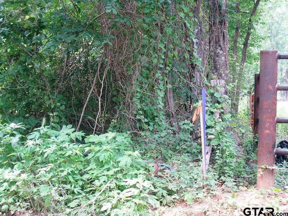 1st image of 312 N Tract