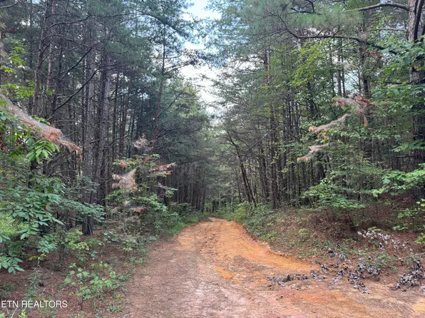 Hannah Davidson Rd, Robbins, TN 37852