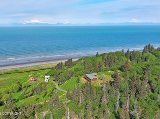 71211 Tall Tree Ave, Anchor Point, AK 99556