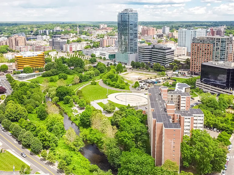 Our location with wonderful park views and downtown Stamford. 10 min walk to downtown, 12 to train, 14 min walk hospital, yet set back away from all the noise