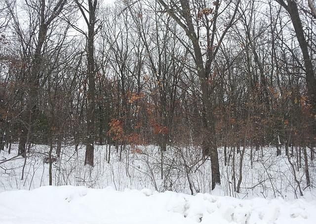 2nd image of 11 Berry Rd