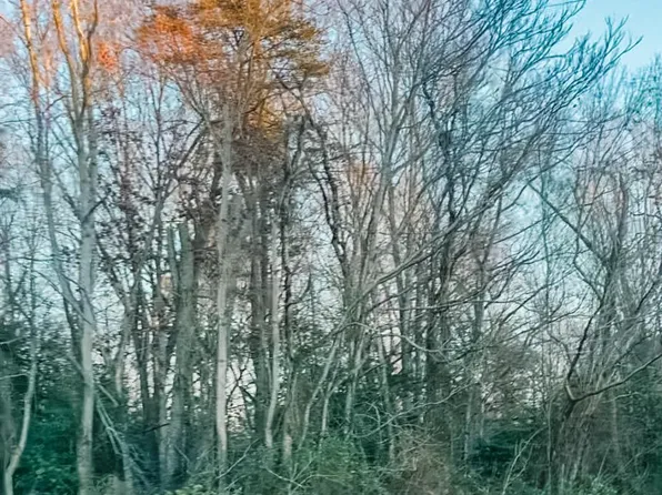 0 McKenney Dr #54-5-15A, Woodford, VA 22580