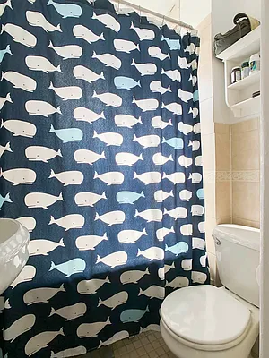 Rented by City Connections Realty | media 16