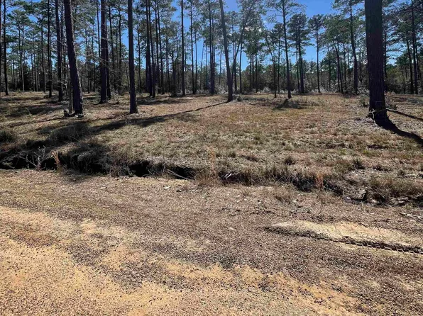 TRACT 8th Pr #6028, Brookeland, TX 75931