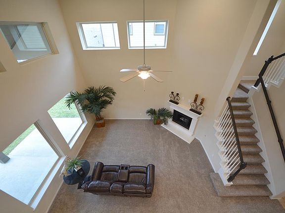 4th image of 3610 Daintree Park Dr