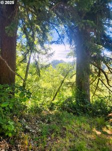 Tiernan Rd #2000, Mapleton, OR, 97453