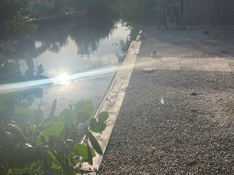 Tarpon Ter — Photo 29