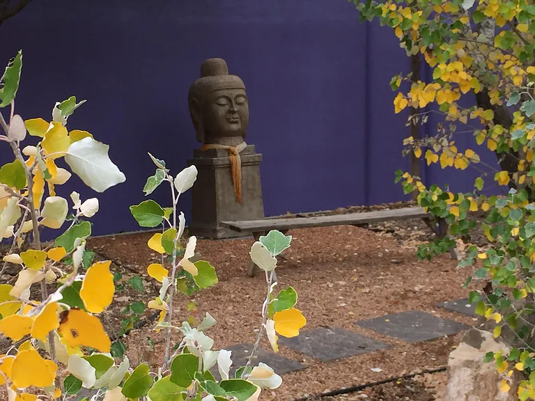 Meditation garden outside of your bedroom door