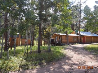 579 County Rd 114, BAILEY, CO 80421