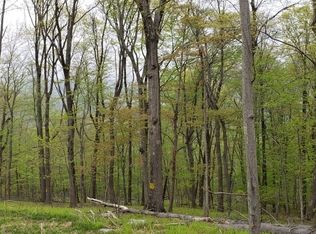 408 Mountain Lake Rd, Great Meadows, NJ 07838