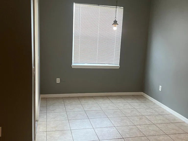 6619 Mangrove Chase Ave — Photo 8
