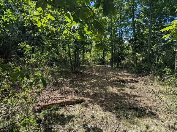 2621 4th Concession Rd, Kingston, ON K7G 2V5