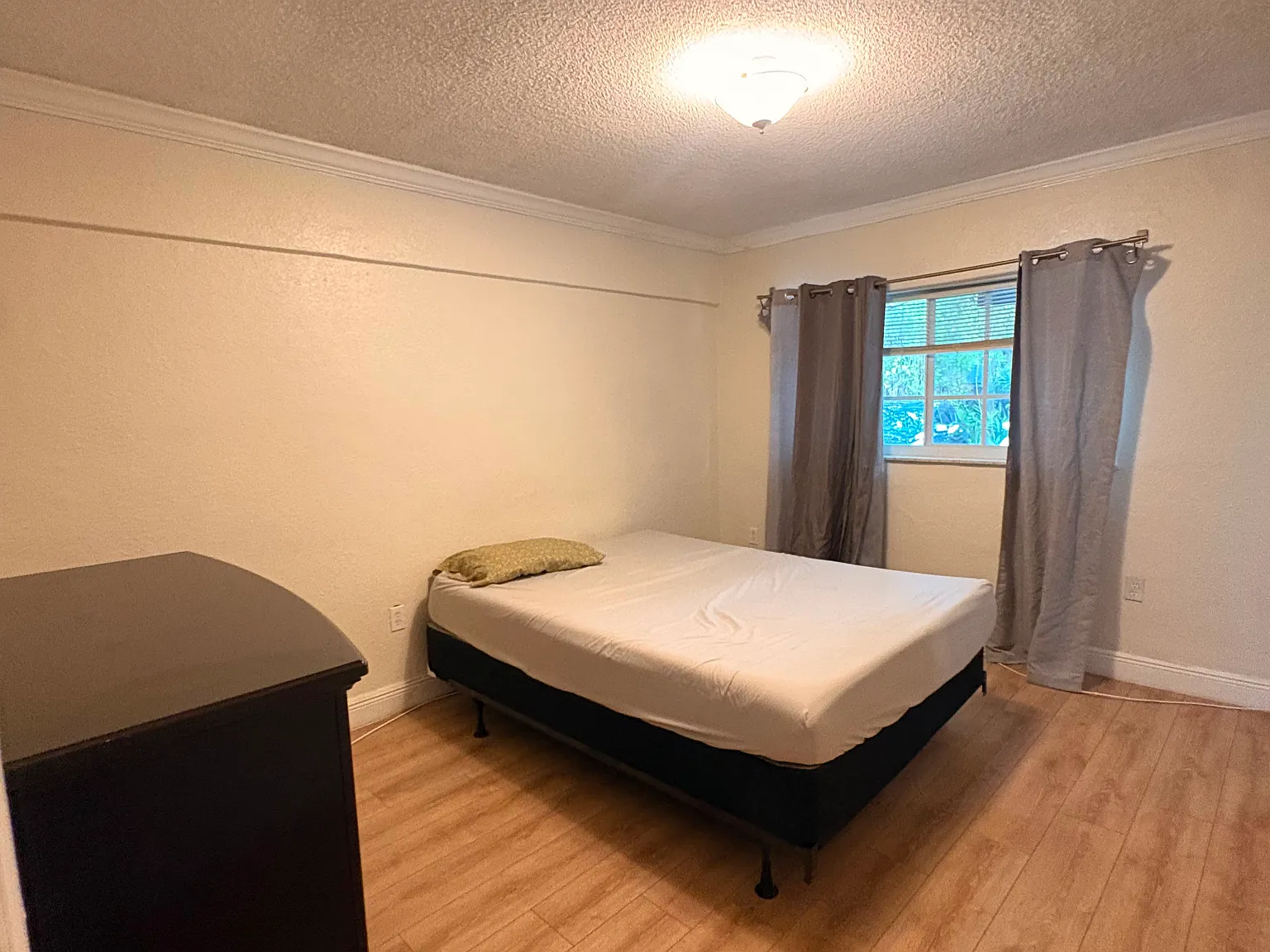 1 bed, 552 sqft, $2,000 — Photo 2