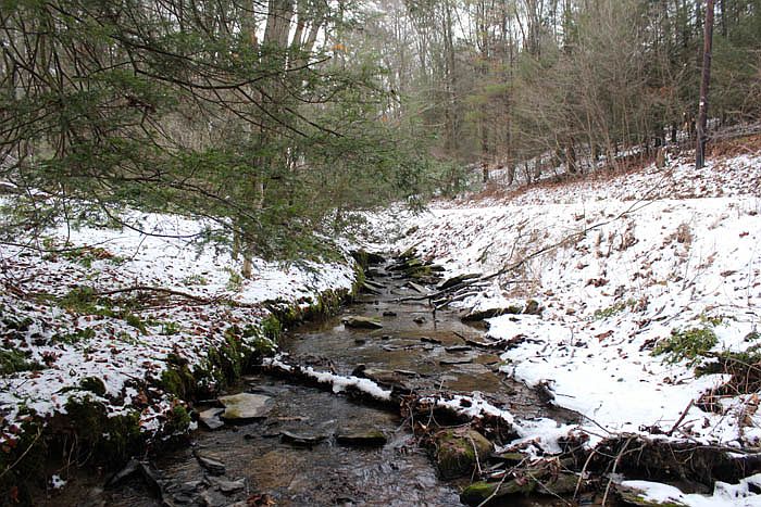 1st image of Hollow Road