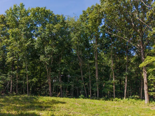 4538 Old Metal Rd, Palmyra, TN 37142