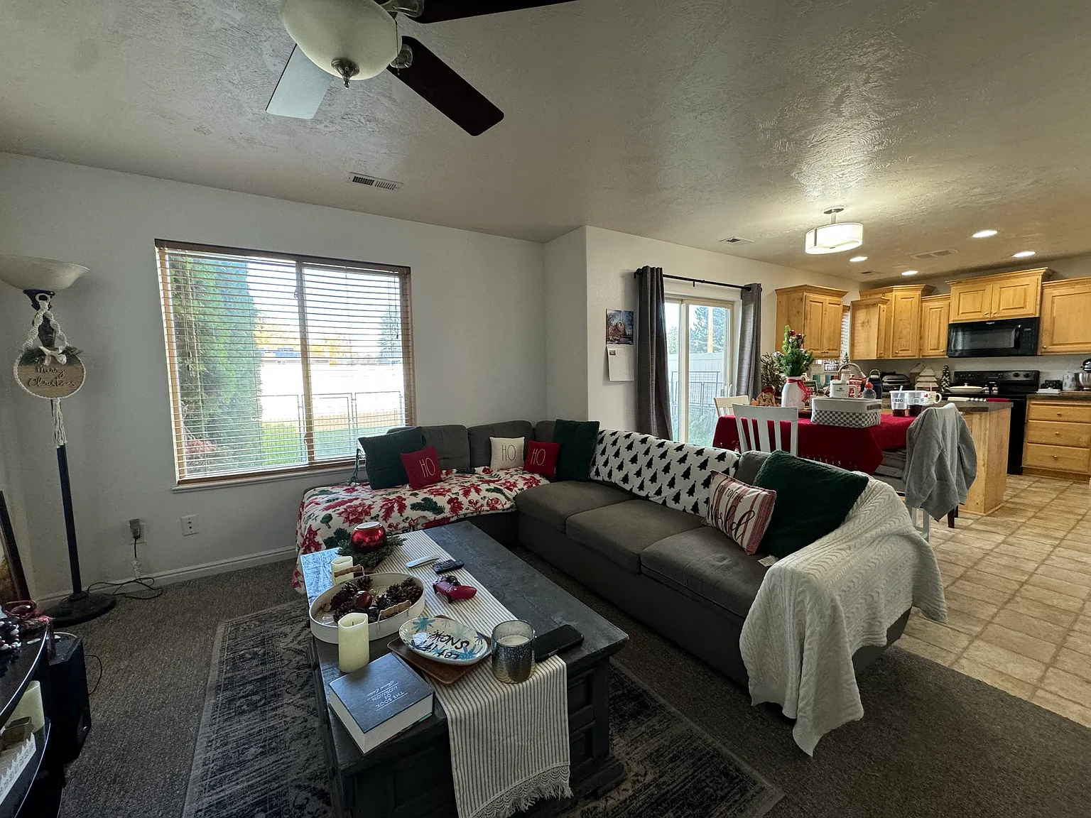 115 S Robison Dr — Photo 4