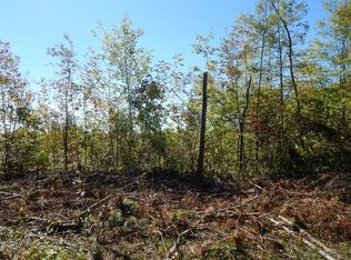 Erdman Rd, White Lake, WI 54491