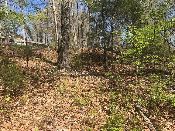 5th image of Elmdon Ln