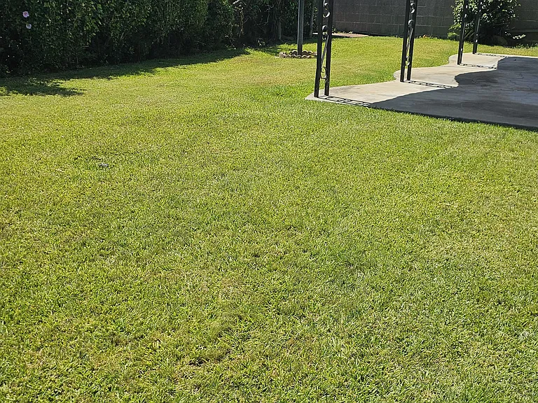 10926 Michael Hunt Dr — Photo 12