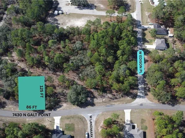 7430 N Galt Point, Citrus Springs, FL 34434