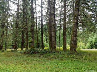134 Bluff Mountain Way W, Randle, WA 98377