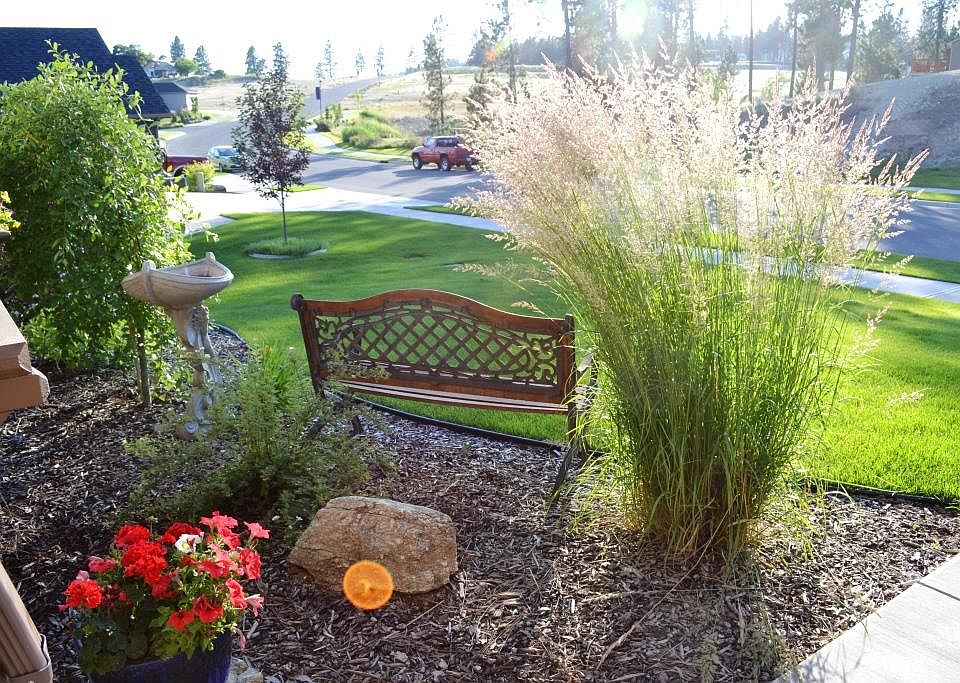 Beautiful front yard.