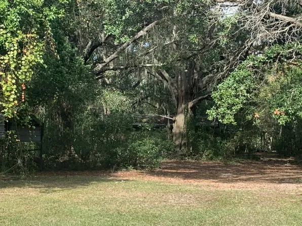 14609 Sassandra Dr, Odessa, FL 33556
