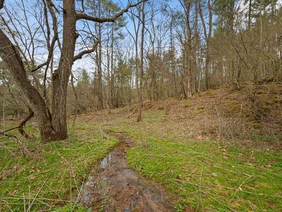 Cole Mountain Rd, Hiwassee, VA, 24347