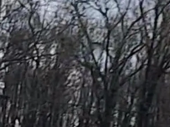 LOT 65 Odessa Dr Lot 65, Baton Rouge, LA 70811