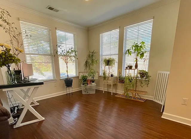 Bright sunny Sunroom