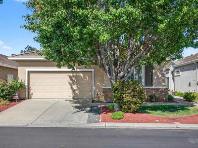 280 Black Amber Way, Brentwood, CA, 94513