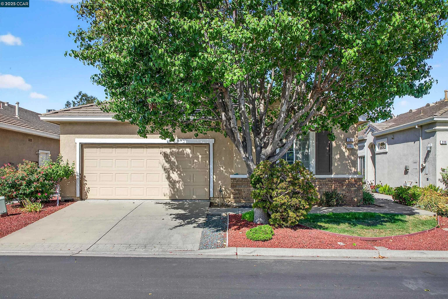 280 Black Amber Way photo 1