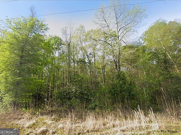 3rd image of 0 Snow Hill Church Rd #11