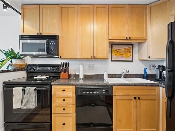 5th image of 1560 N Sandburg Ter APT 2207J