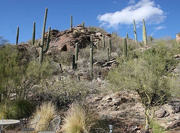 Looking up at natural desert/mountain from pool.