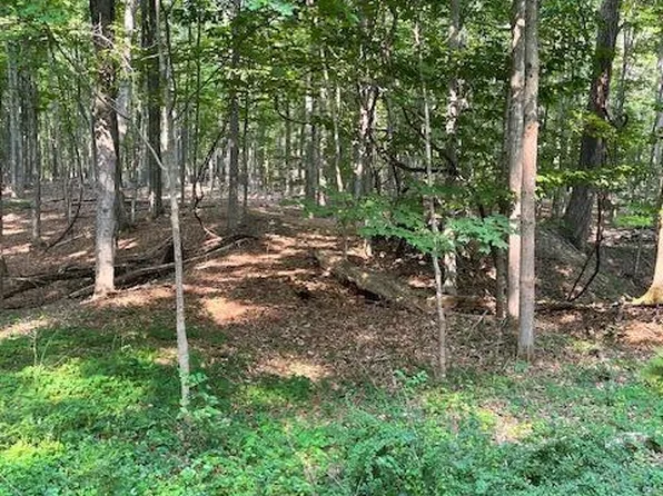 L-25 Sunside Road, Acra, NY 12405